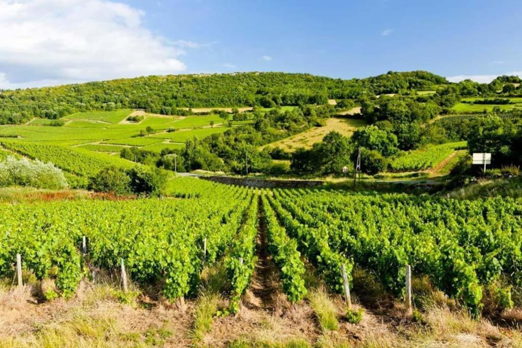 Le Chardonnay - Locationtournus Apartment Luaran gambar